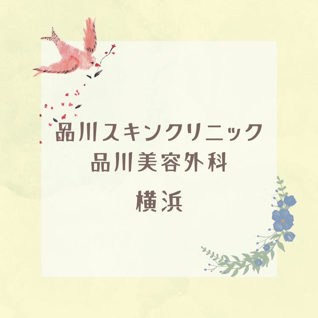 品川スキンクリニック 品川美容外科