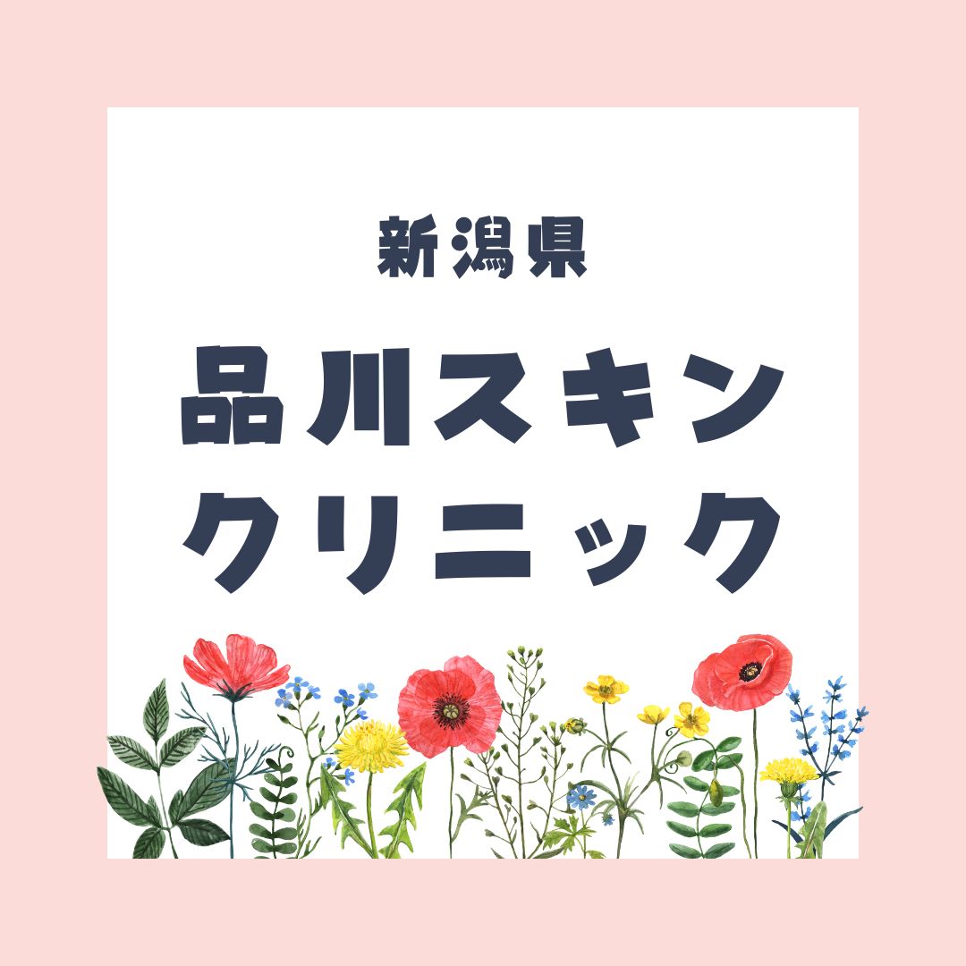 品川スキンクリニック