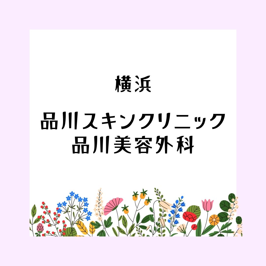 品川スキンクリニック 品川美容外科